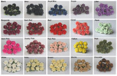 Rose Colour Chart