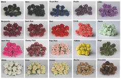 Rose Colour Chart