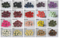 Rose Colour Chart